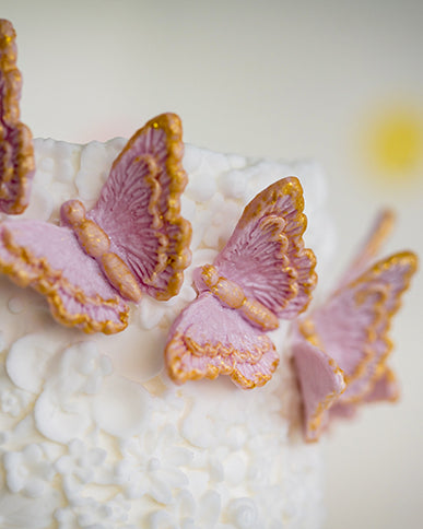 brush embroidery butterflies silicone mould