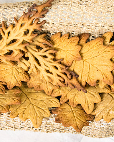 Autumn Leaf Silicone Mould