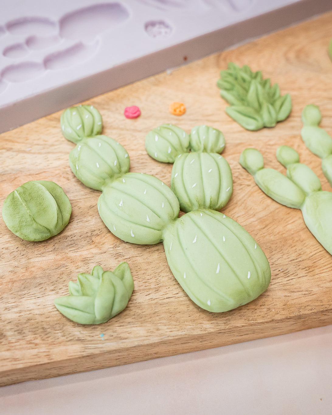 Cactus Garden Silicone Mould