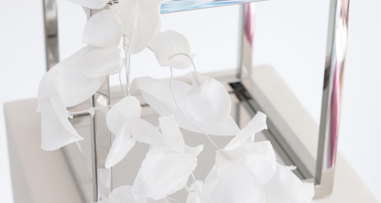 PropEdit: Top 5 Cake Design Trends for 2026