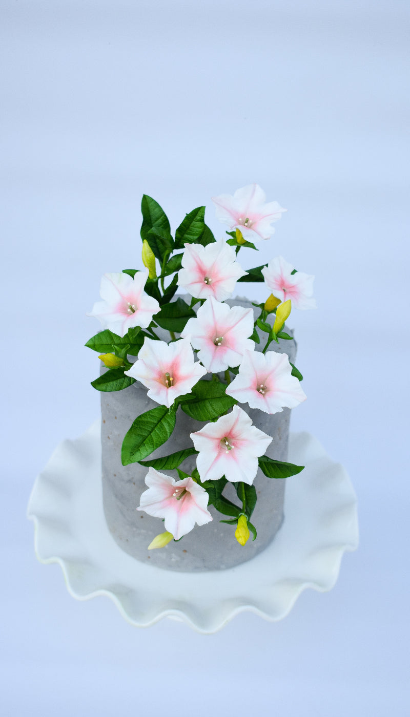 Pasta Bouquet Sugar Paste - Ideal for Floral Decorations