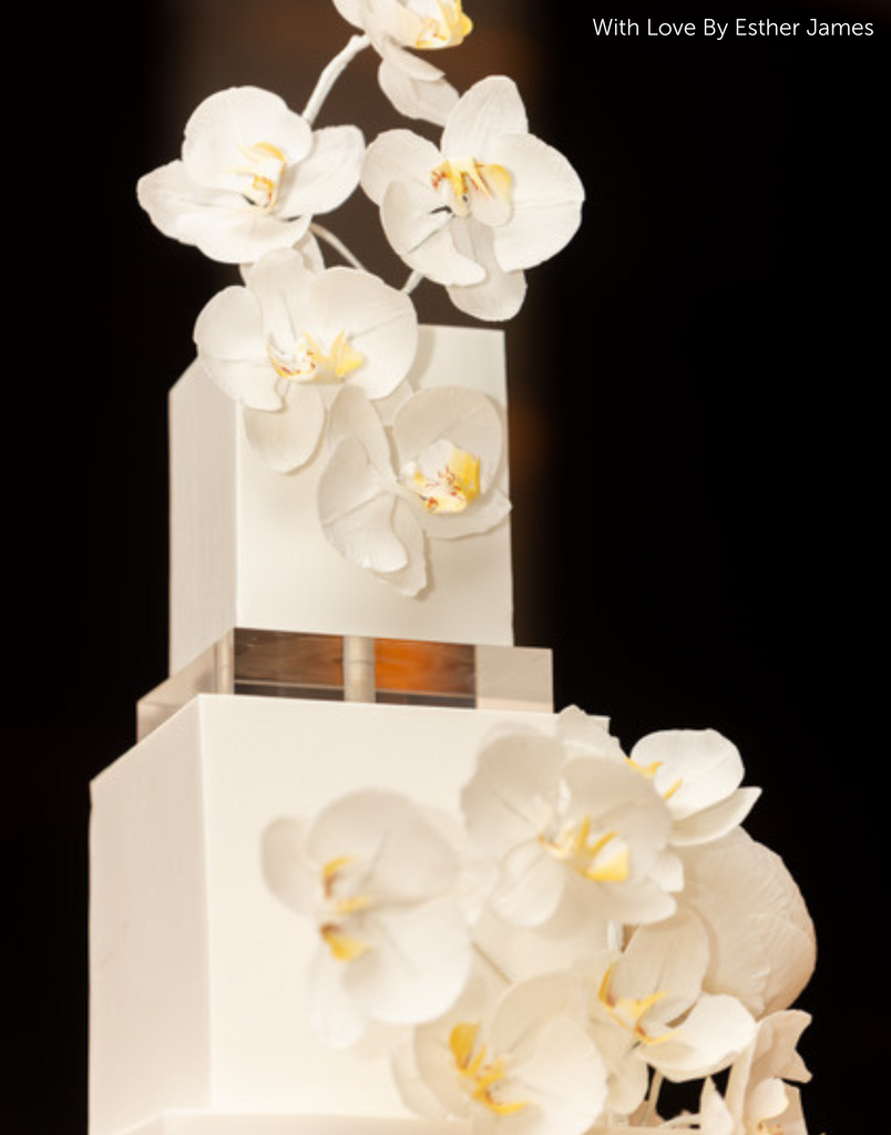 Close up of a white cake with white flowers, the two layers are separated by a 30mm Square Acrylic Cake Separator - Prop Options