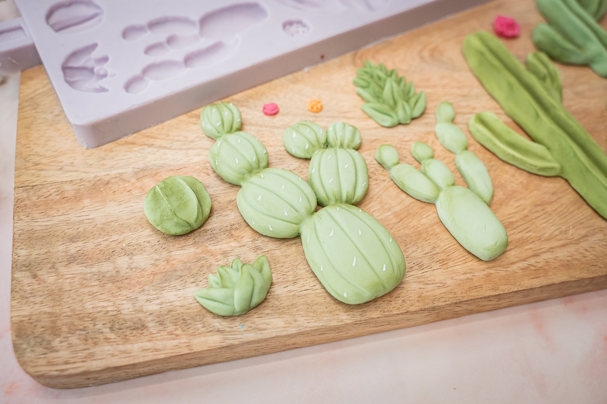 Cactus Garden Silicone Mould