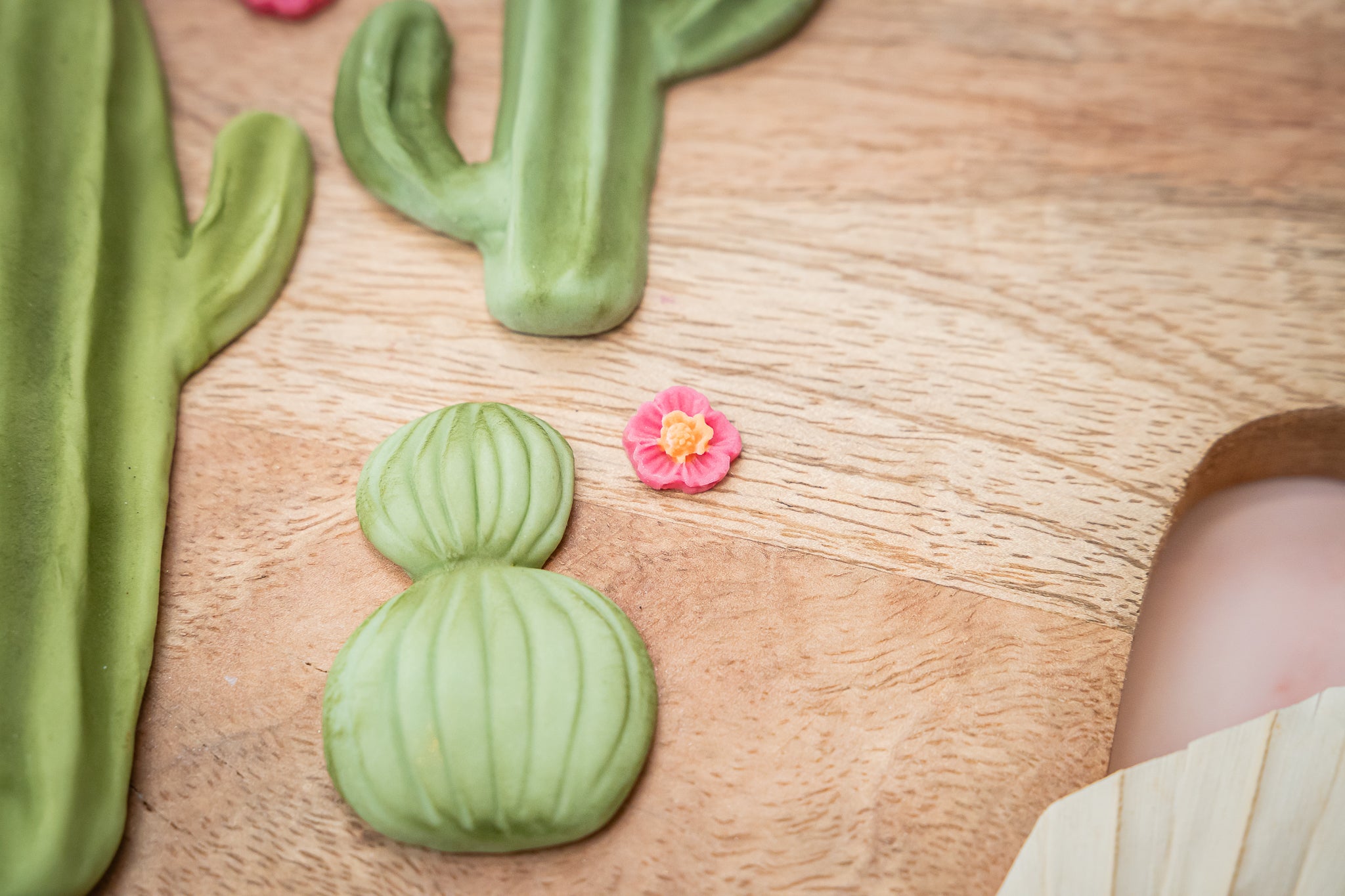Cactus Garden Silicone Mould