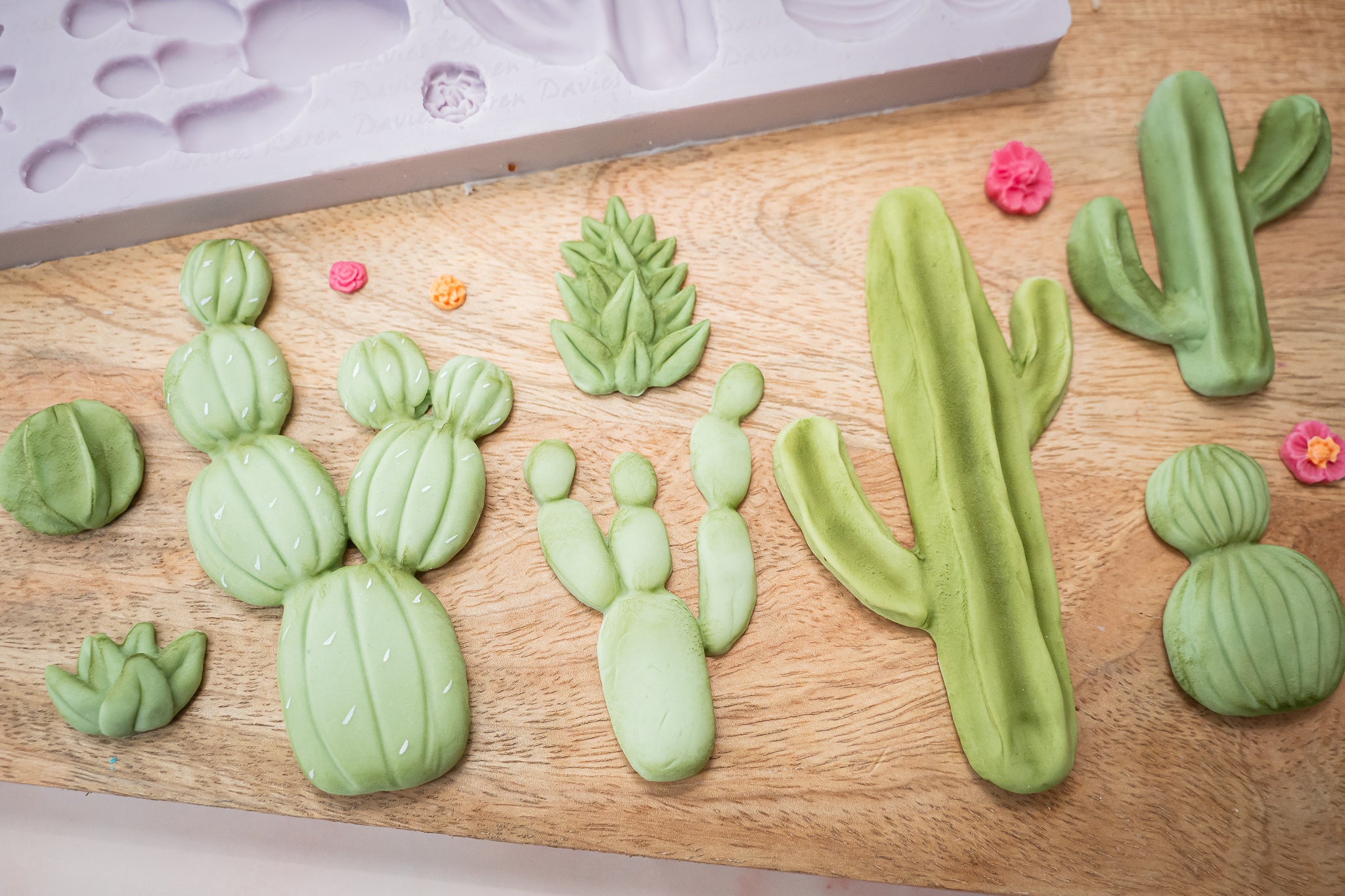 Cactus Garden Silicone Mould