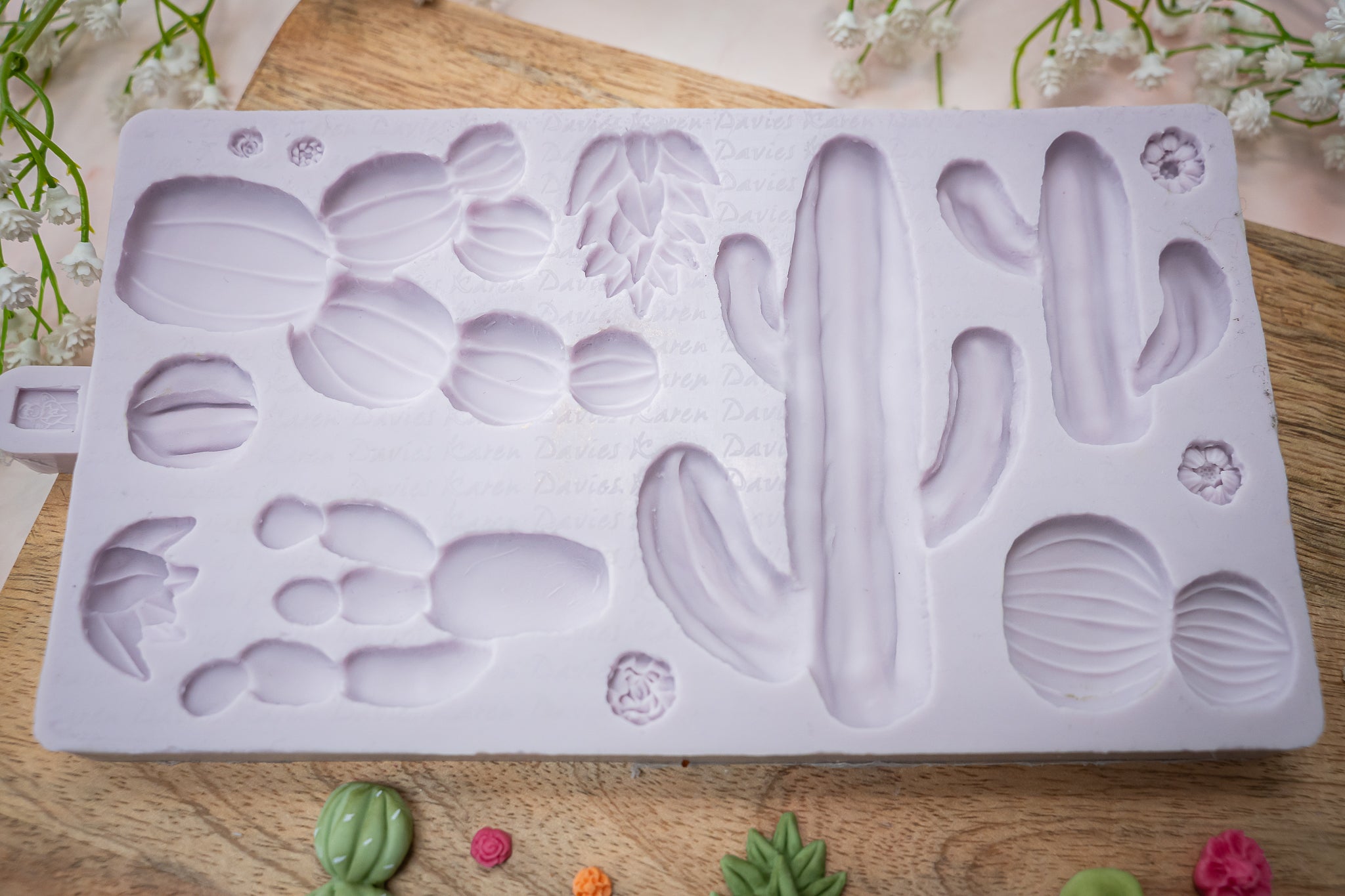 Cactus Garden Silicone Mould
