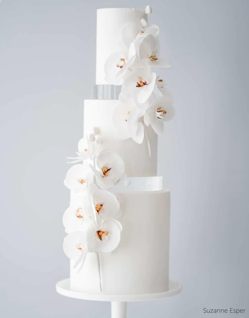 A simple white three layer cake with white flowers, the layers are each separated with a 30mm Round Acrylic Cake Separator - Prop Options